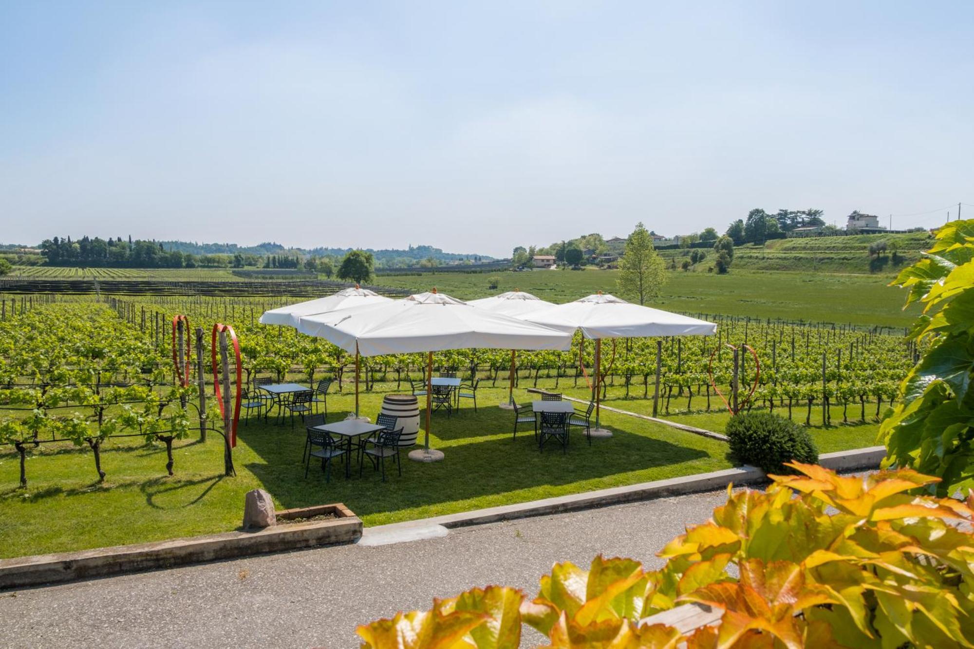 Agriturismo Le Ginestre Lazise Exterior photo